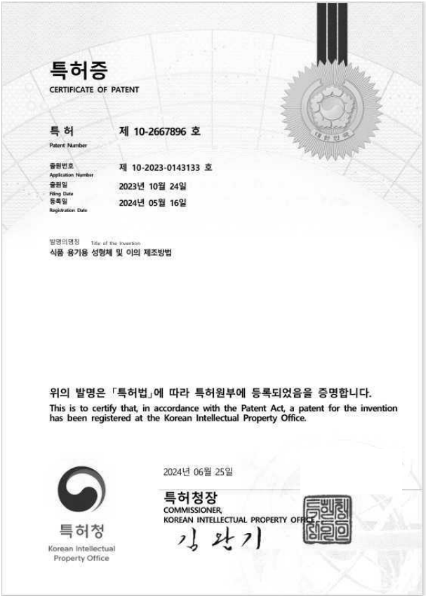 Korean patent certificate 10-2667896 with personal details redacted.